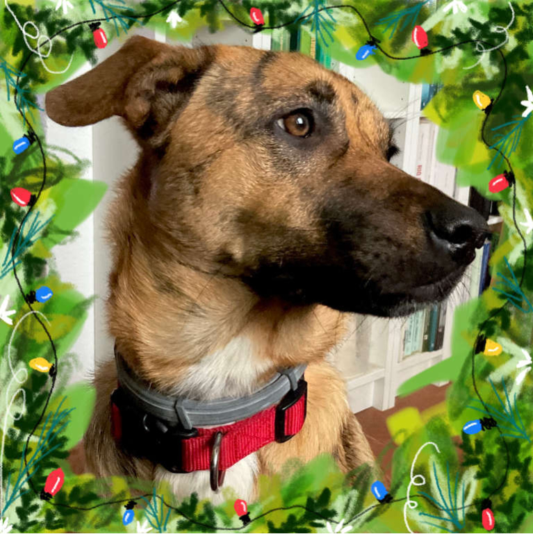 Violeta, the santa little helper dog